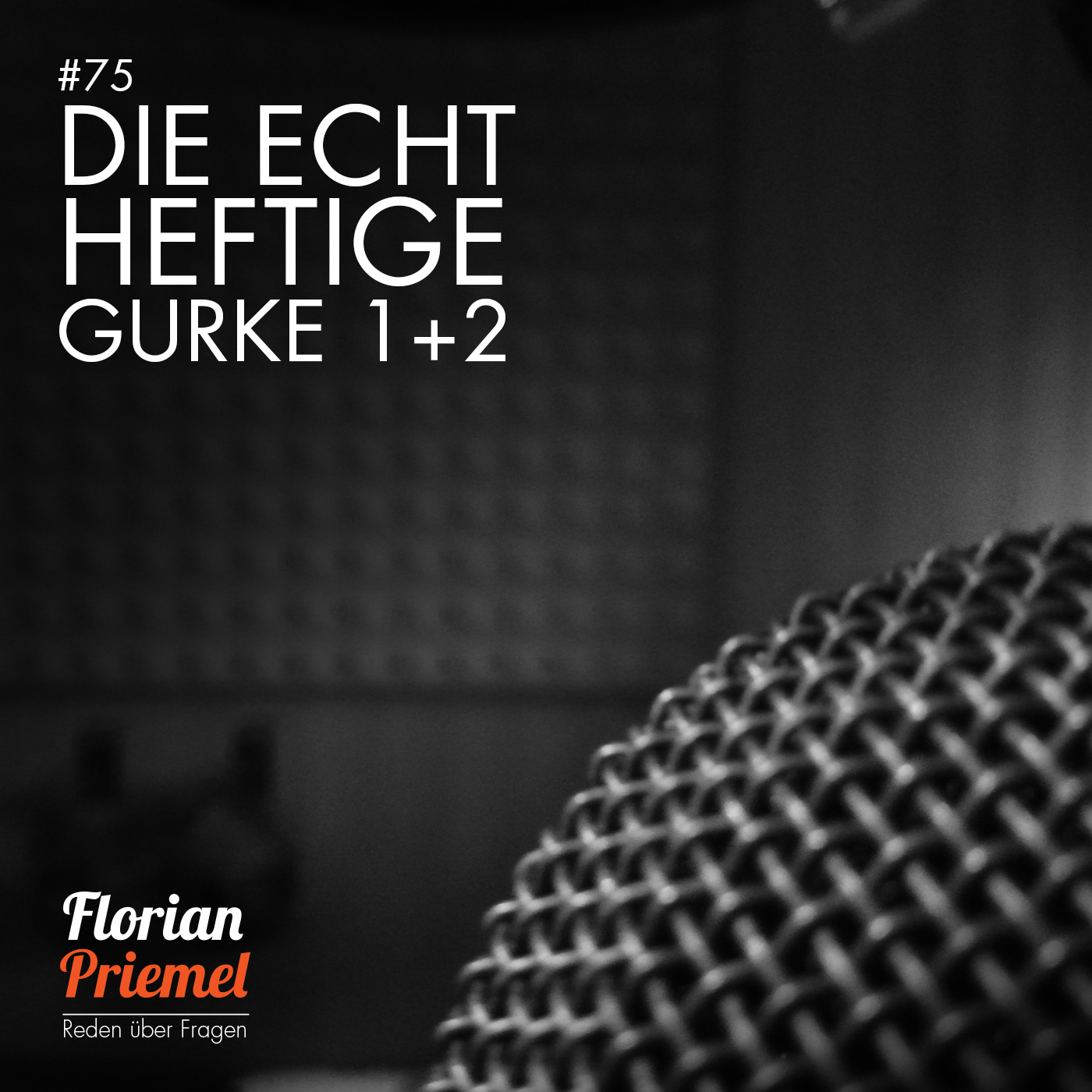 Florian Priemel Podcast