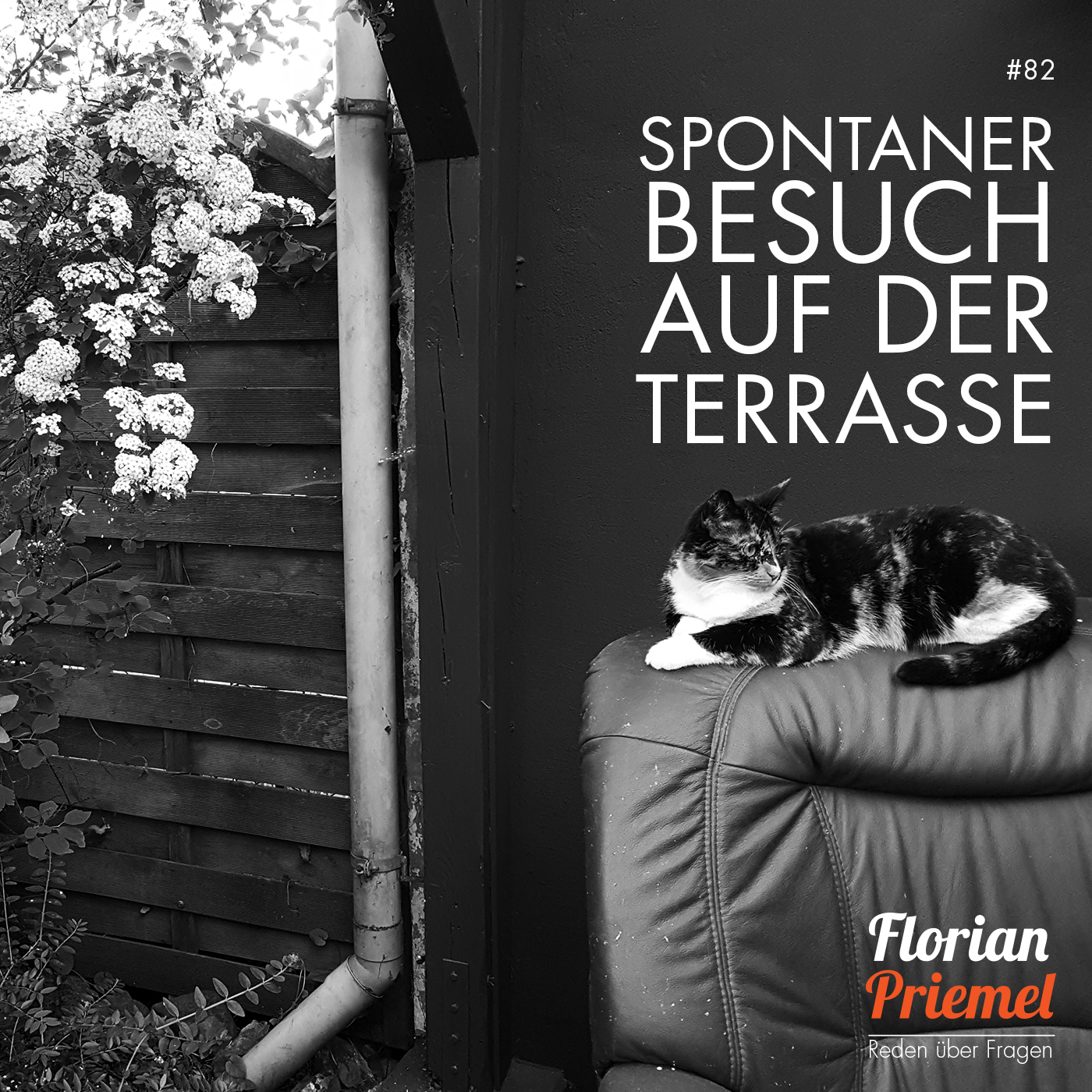 Florian Priemel Podcast