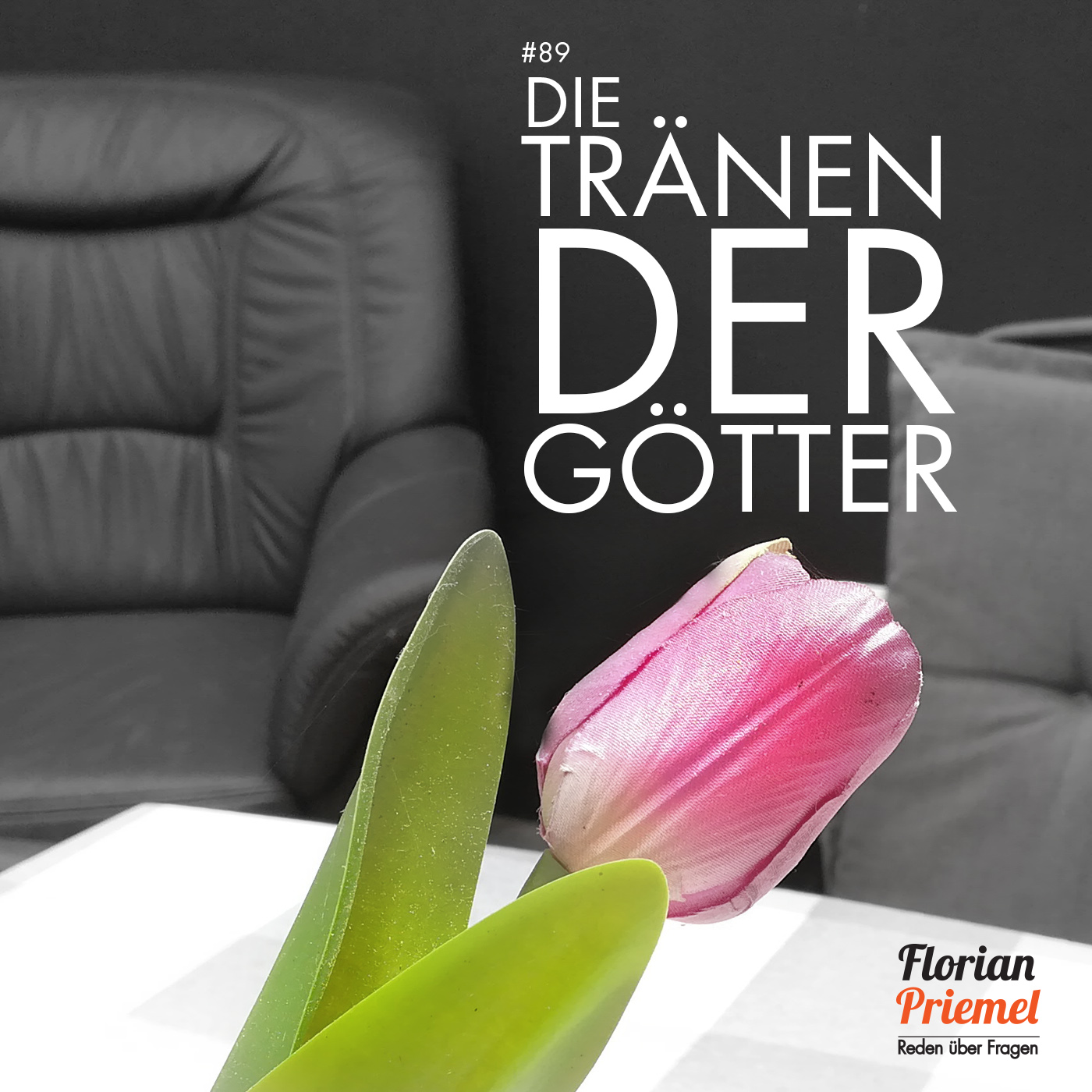 Florian Priemel Podcast