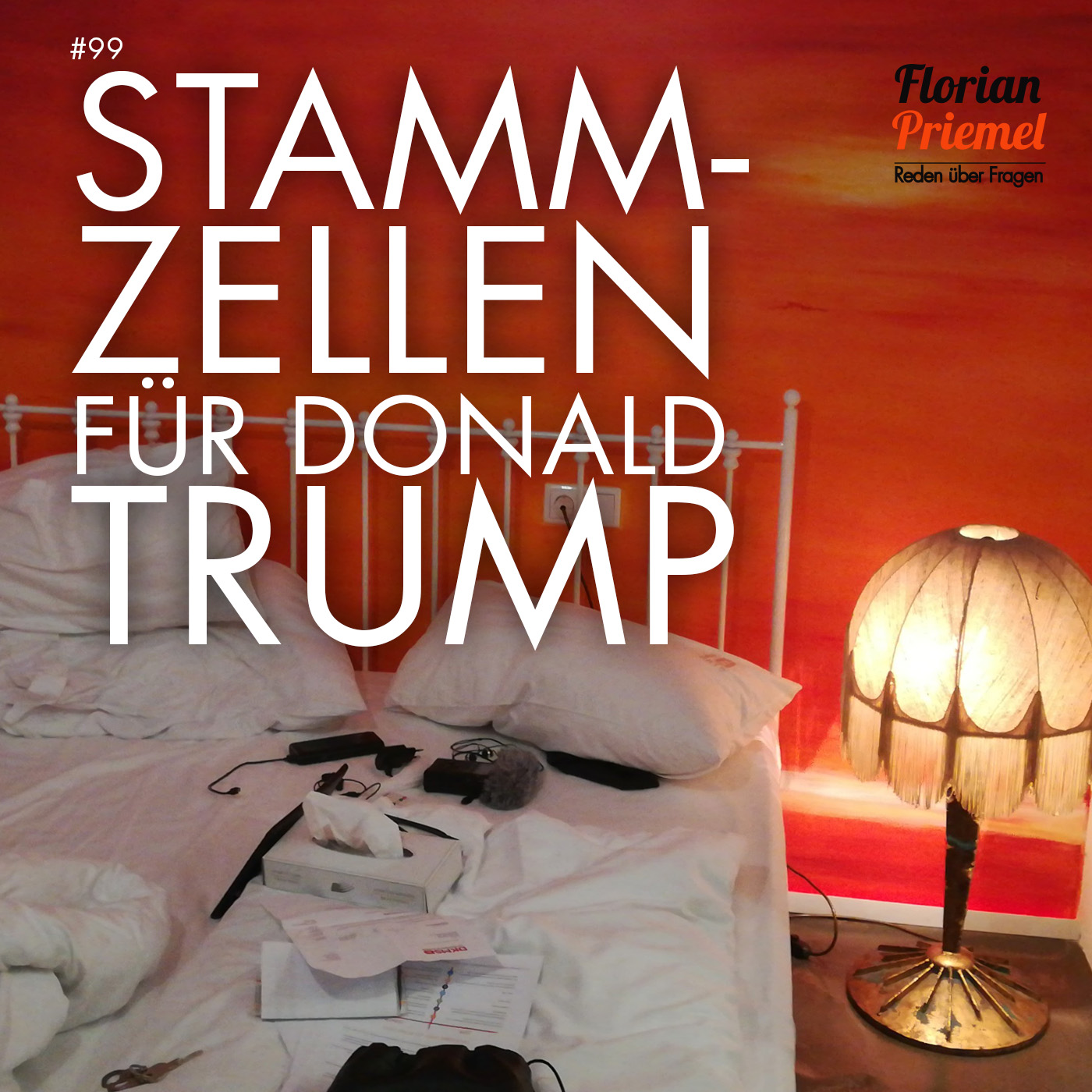 Florian Priemel Podcast