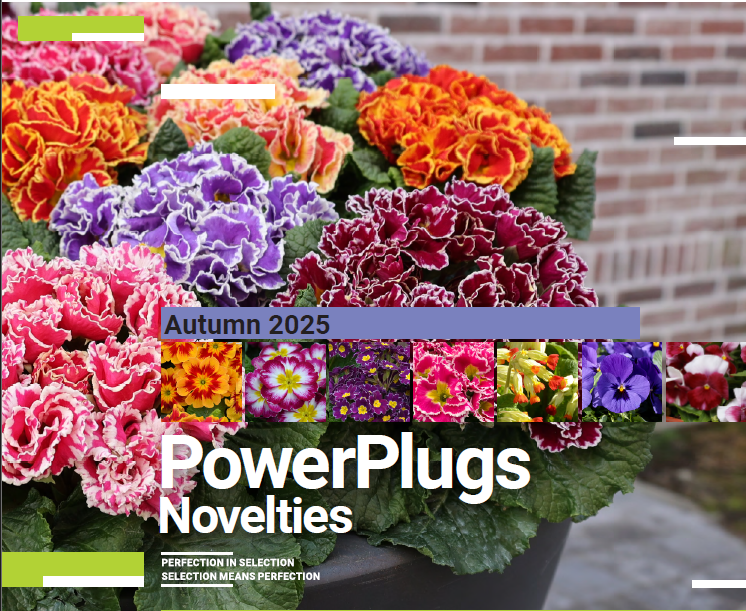 Powerplugs Novelties Autumn 2025