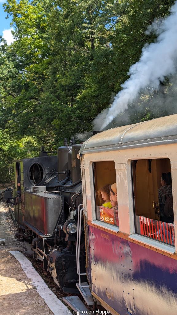 La Ferrovia dei bambini a Budapest. Treno a vapore.