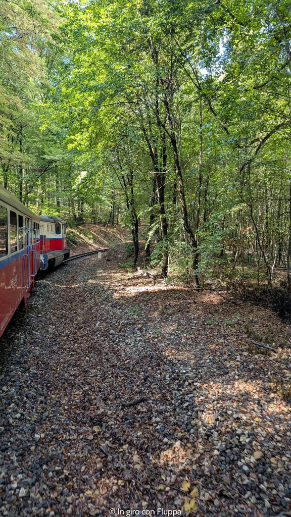 La Ferrovia dei bambini a Budapest. Tragitto nel bosco.