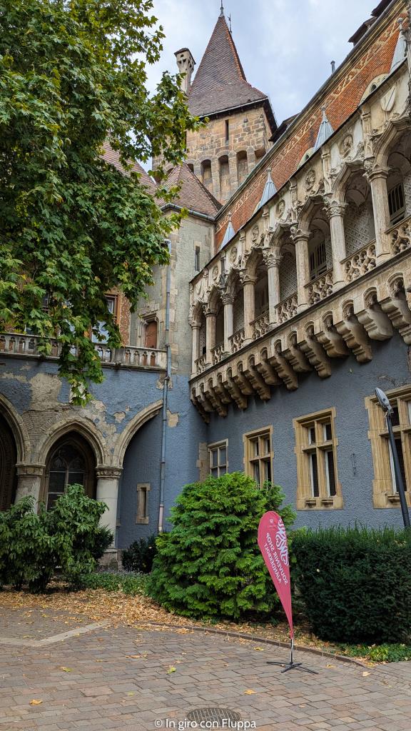 Castello di Vajdahunyad, Budapest. Dettagli.