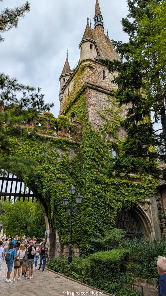 Castello di Vajdahunyad, Budapest. Torre ricoperta di edera.