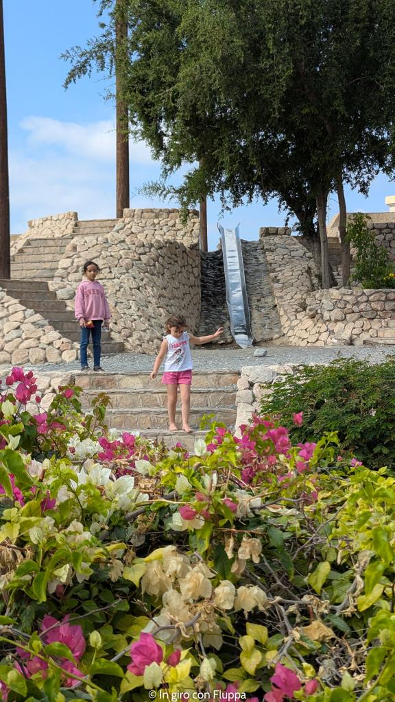 Fiori nel parco del Falaj Daris