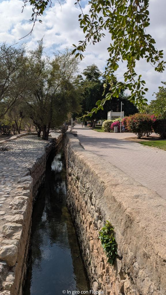 Falaj Daris con acqua che scorre