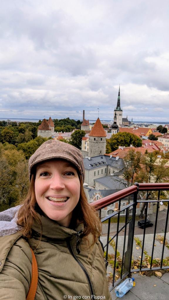 Fluppa sulla collina di Toompea