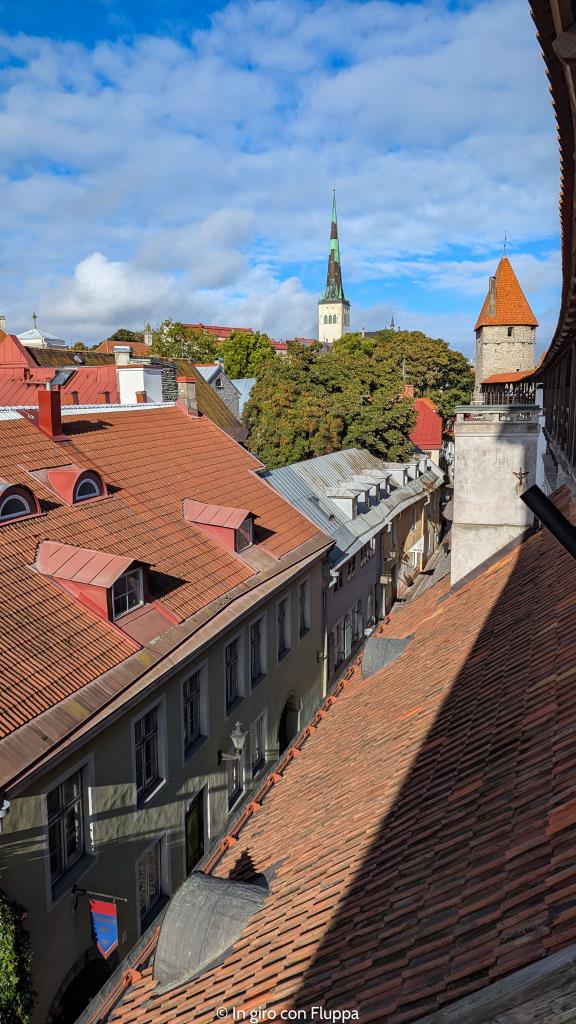 Torre Hellemann, Tallinn