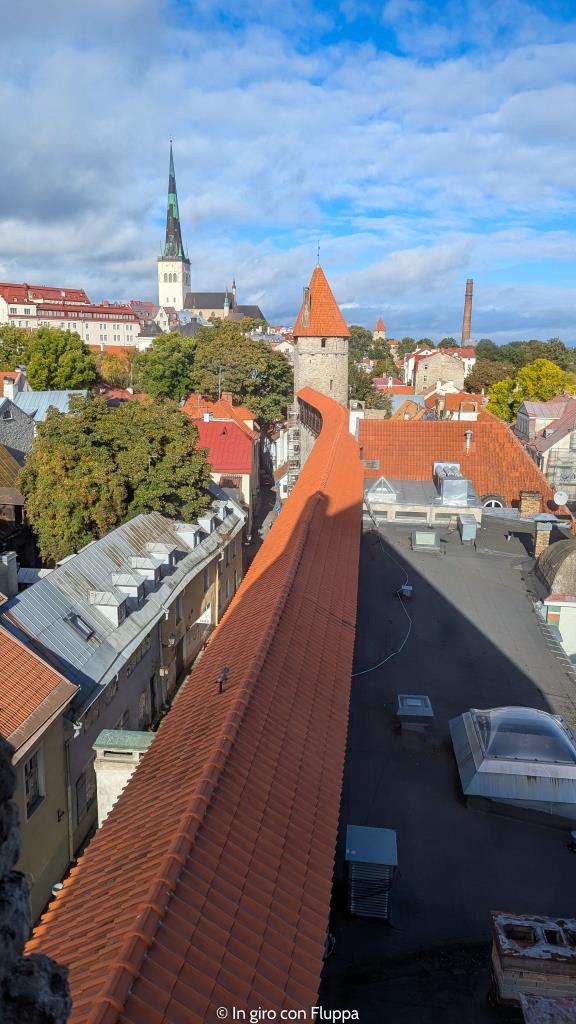 Mura medievali dalla Torre Hellemann, Tallinn