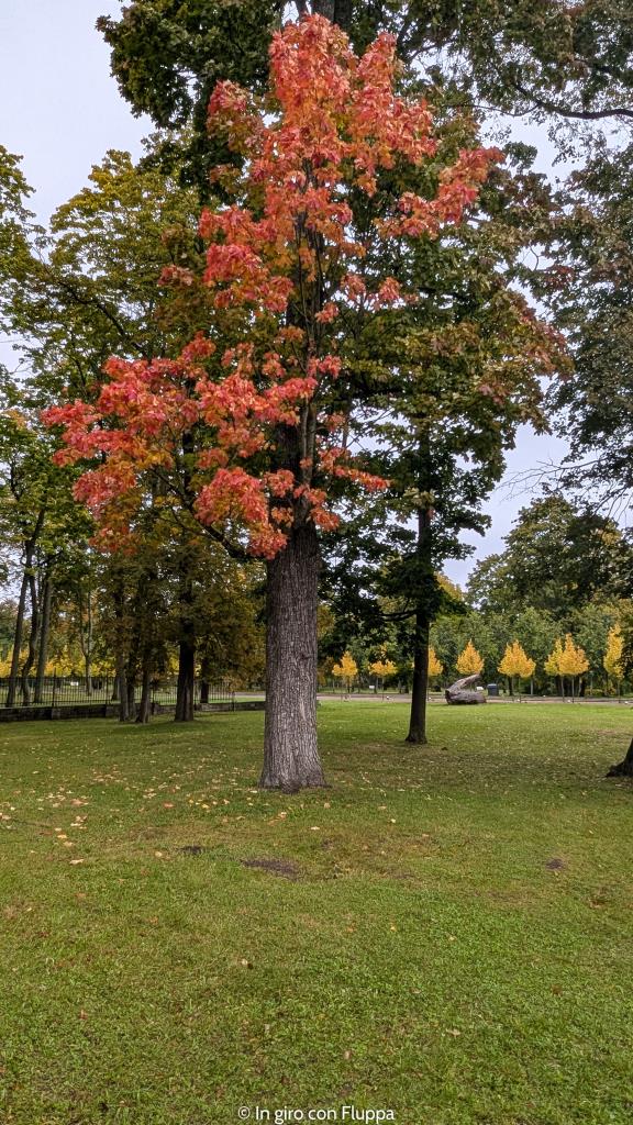 Parco di Kadriorg, Tallinn