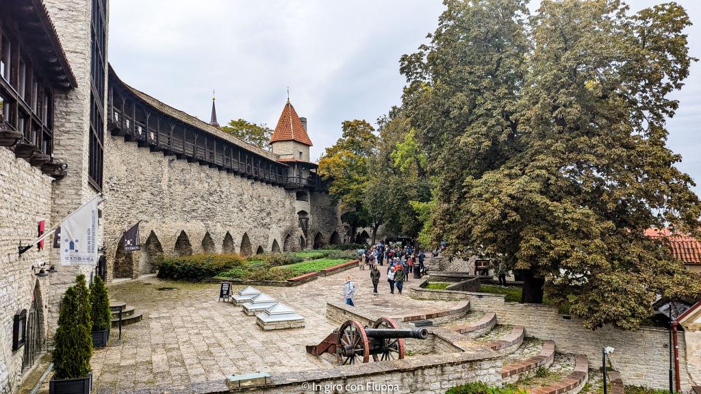 Kiek in de Kök, Tallinn