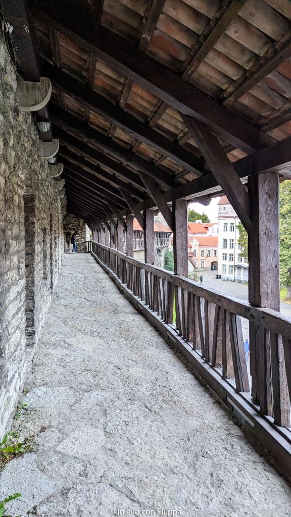 Nun Tower e mura medievali di Tallinn