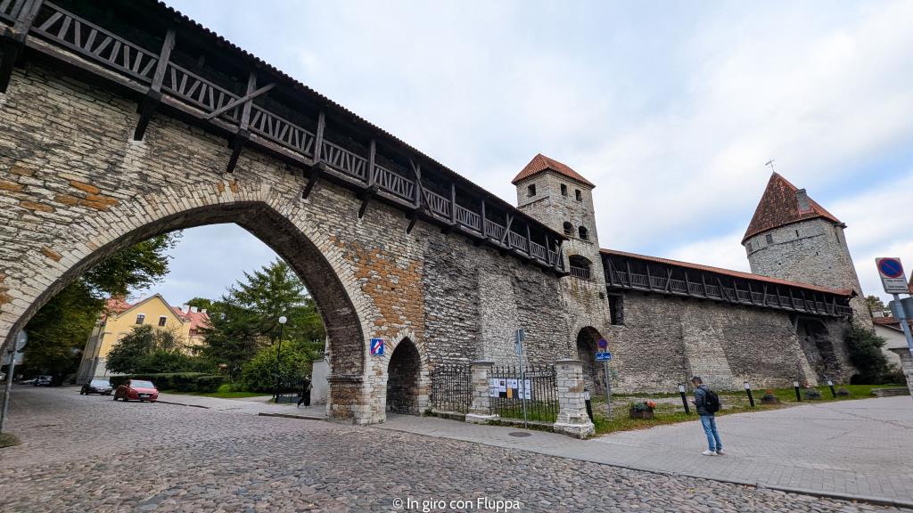 Nun Tower e mura medievali di Tallinn