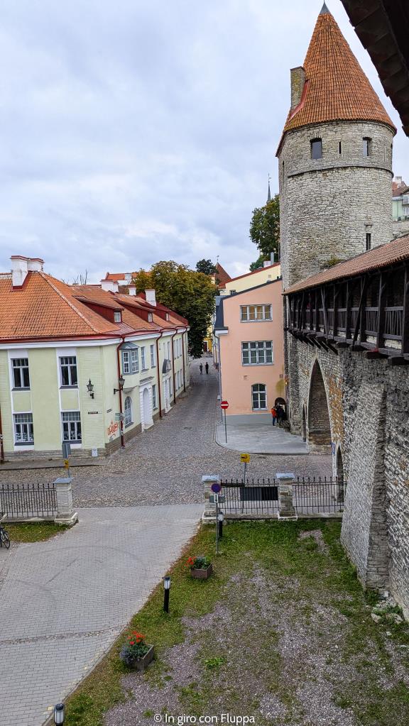 Nun Tower e mura medievali di Tallinn
