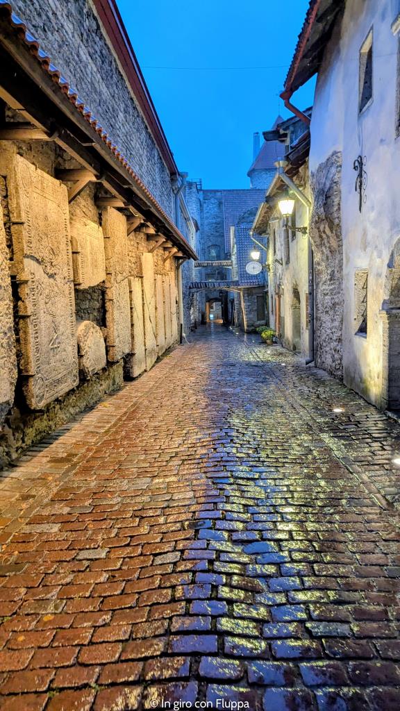 Passaggio di Santa Caterina, Tallinn