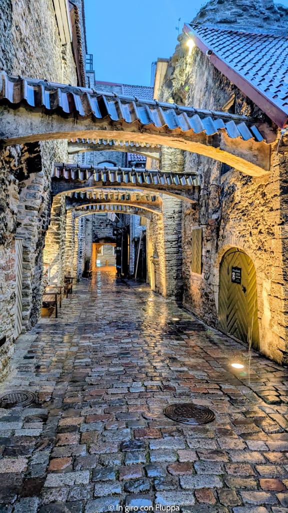 Passaggio di Santa Caterina, Tallinn