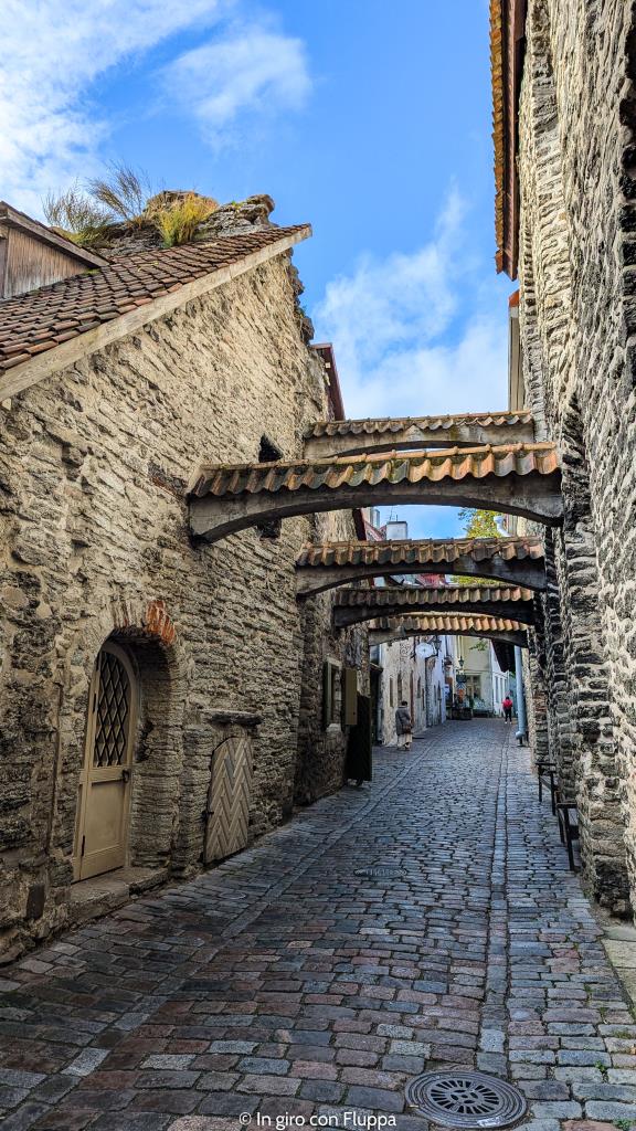 Passaggio di Santa Caterina, Tallinn