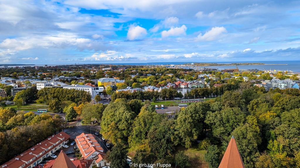 Vista del mare dalla Chiesa di Sant'Olav, Tallinn
