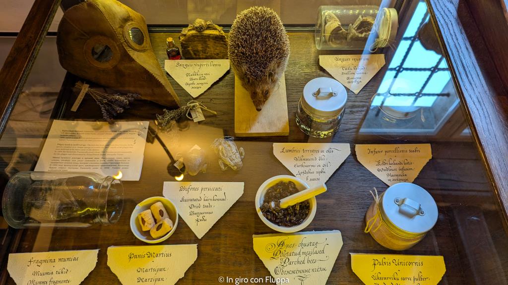 Farmacia del Municipio di Tallinn - rimedi medievali