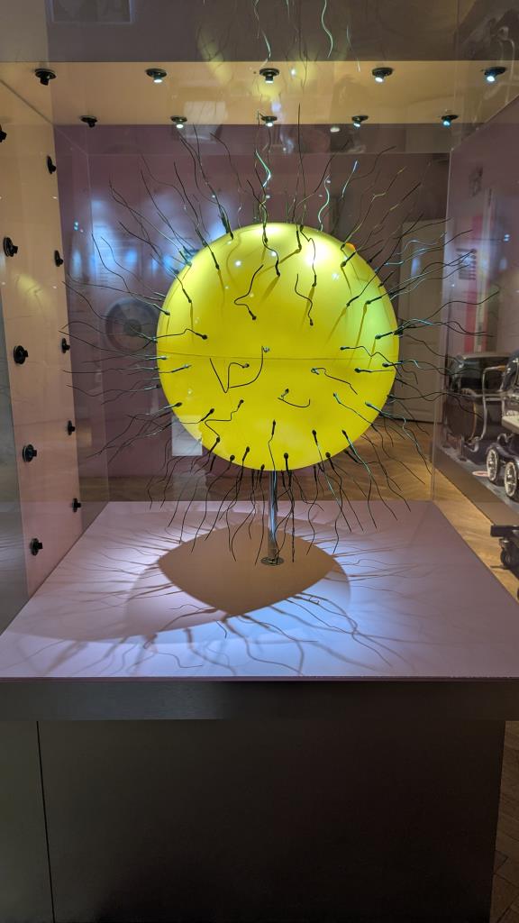 Fecondazione - Museo della salute Estone, Tallinn