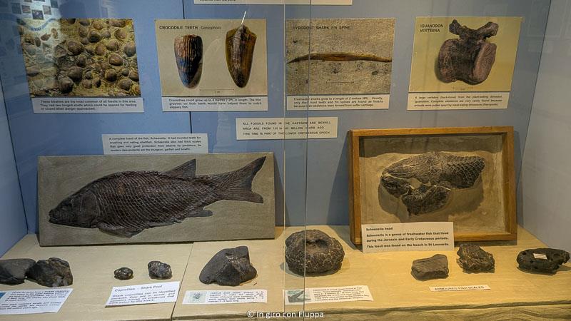 Shipwreck Museum, Hastings