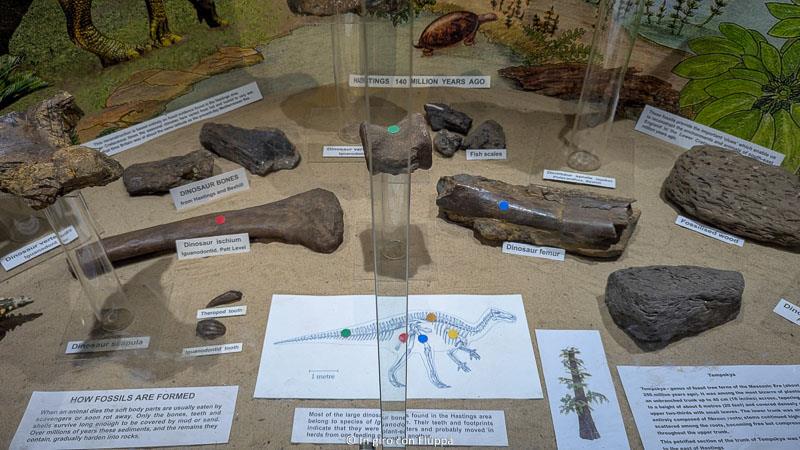 Shipwreck Museum, Hastings