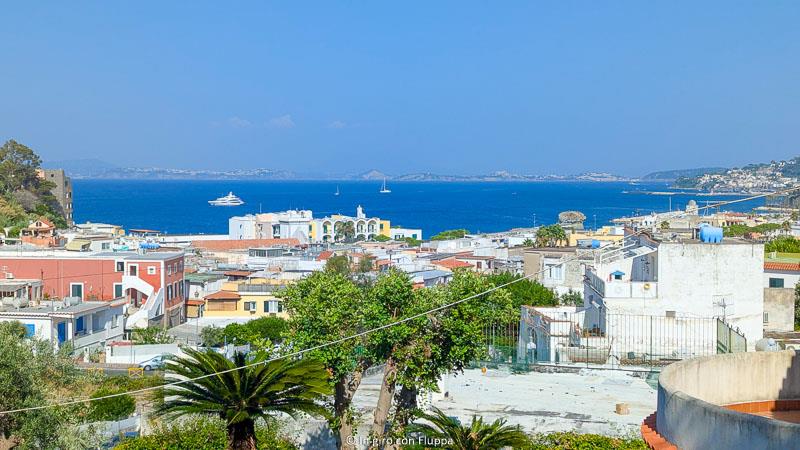 ischia panorama