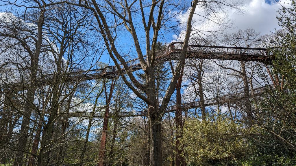 Percorso sugli alberi nel Kew’s Children’s Garden