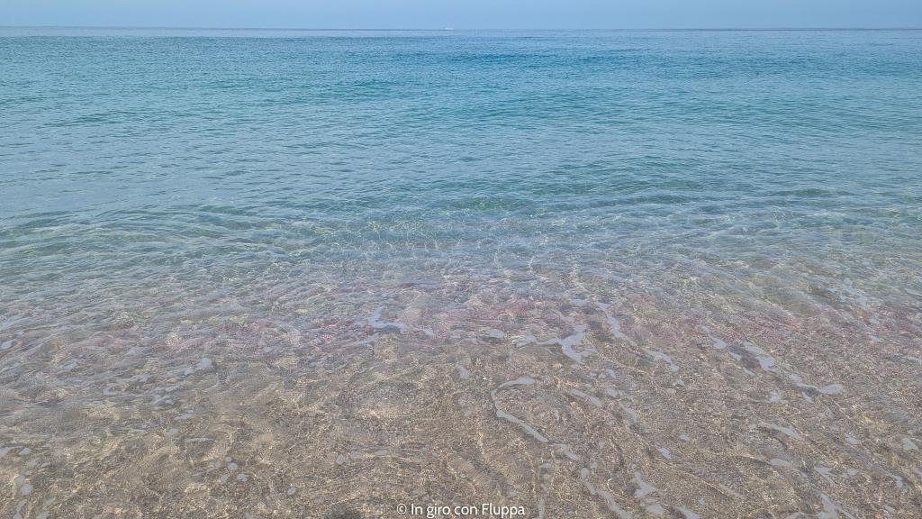 Pink Beach, Ras Al Hadd, Oman