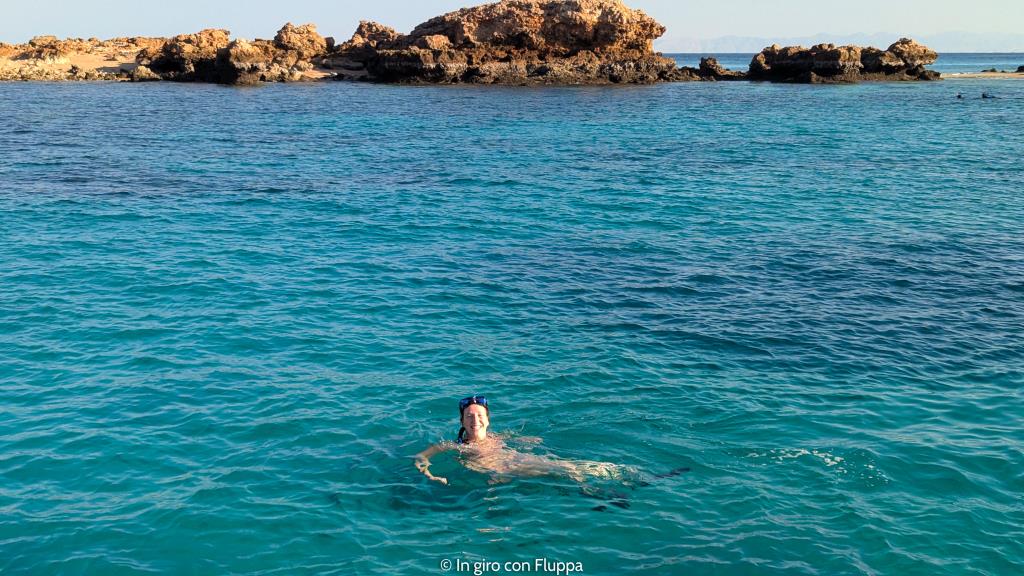 Fluppa fa snorkeling alle Isole Dimaniyat, Oman