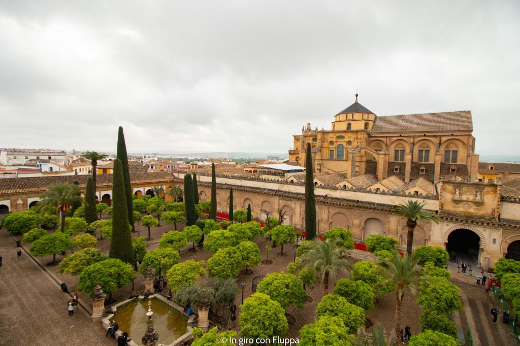 Cordoba cattedrale vista dall'alto