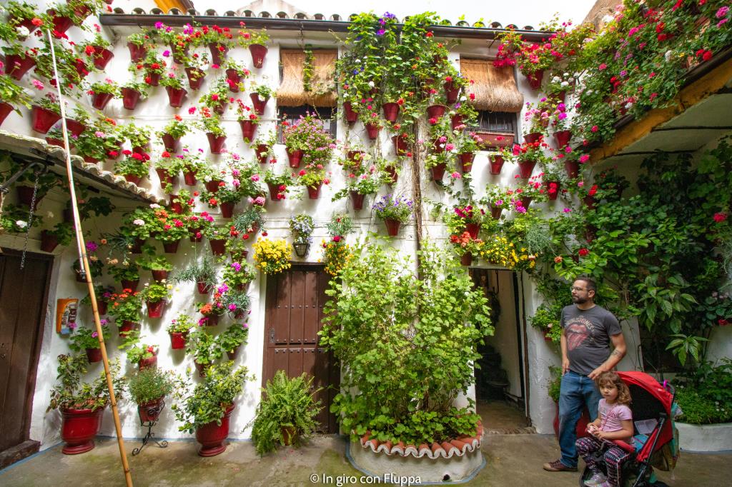 Cordoba patio fiorito