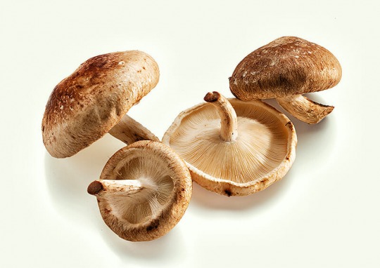 shiitake mushrooms Kalorien-Nährwerte