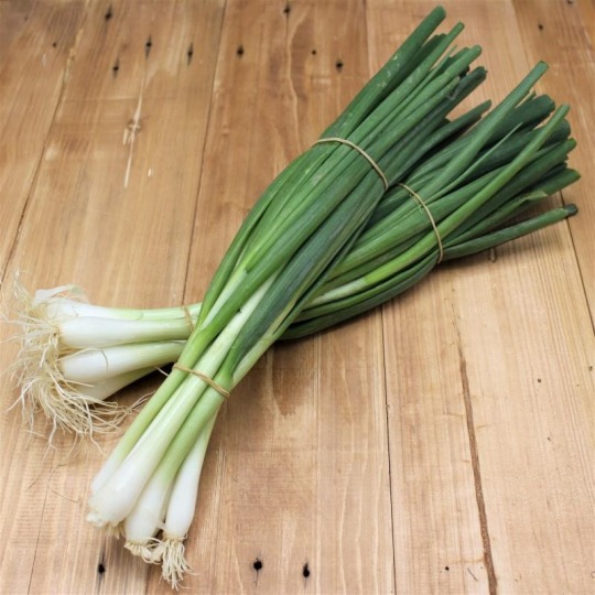 Frühlingszwiebel Kalorien-Nährwerte