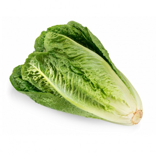 romaine lettuce Kalorien-Nährwerte