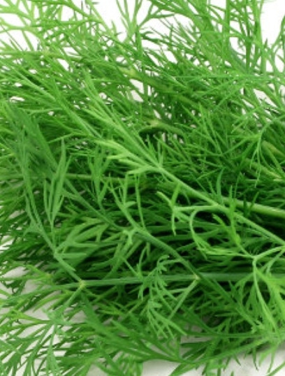 dill weed Kalorien-Nährwerte