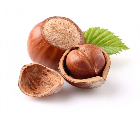 hazelnut Kalorien-Nährwerte