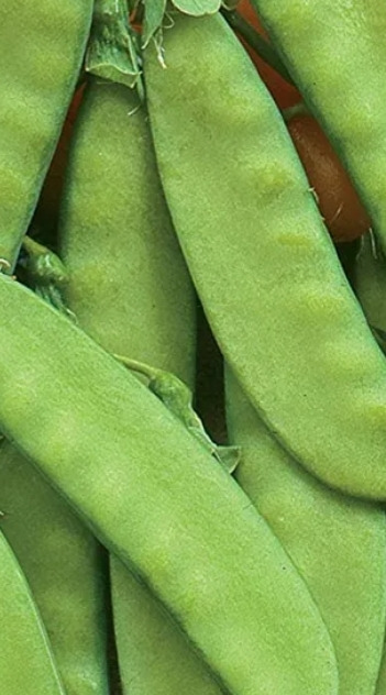 sugar peas Kalorien-Nährwerte