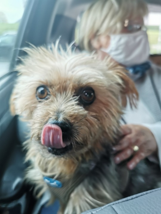 coleslaw Kalorien-Nährwerte