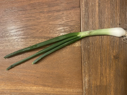 Lauchzwiebeln Kalorien-Nährwerte