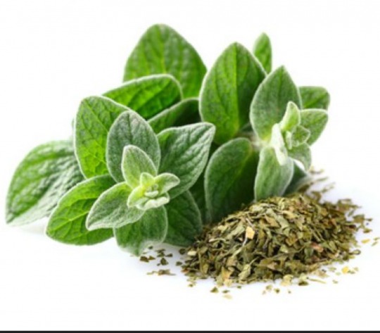 oregano seasoning Kalorien-Nährwerte