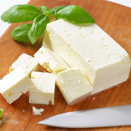 goat cheese (semisoft type) Kalorien-Nährwerte