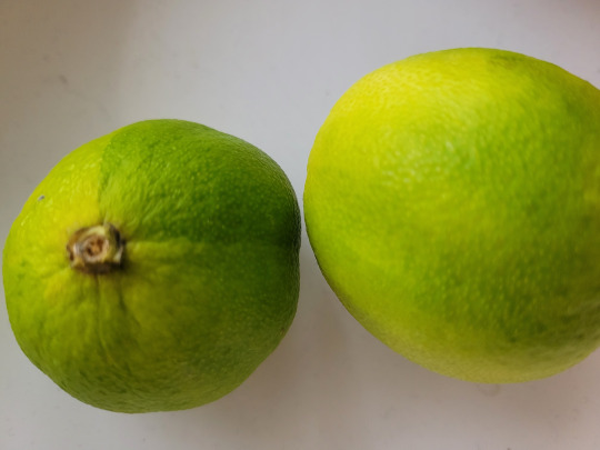 limes Kalorien-Nährwerte