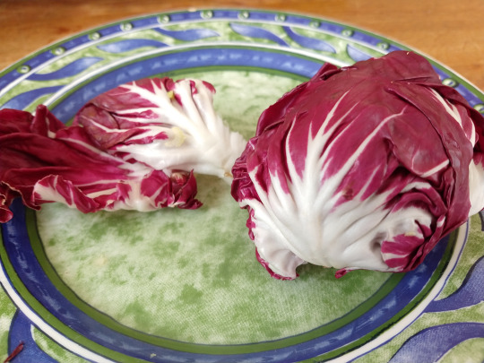 radicchio Kalorien-Nährwerte