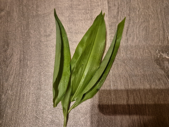 wild garlic Kalorien-Nährwerte