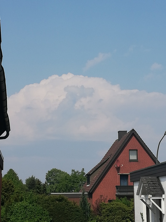 Kurkuma Kalorien-Nährwerte