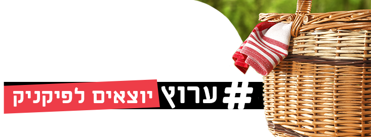 יוצאים לפיקניק