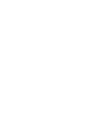 premier league logo