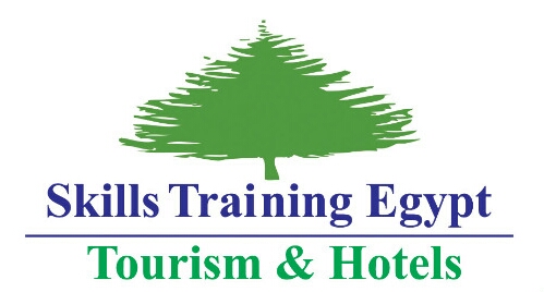 لوجو Skills Training egypt لوجو Skills Training egypt